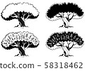 Single black olive tree with branches. 58318462