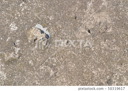 The image of a fragment of a concrete slab as a background The image of a fragment of a concrete slab as a background 58319617