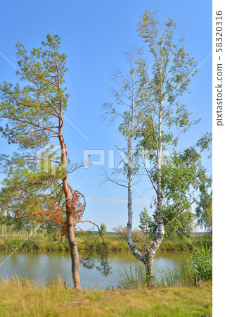 River at sunny day. 58320316