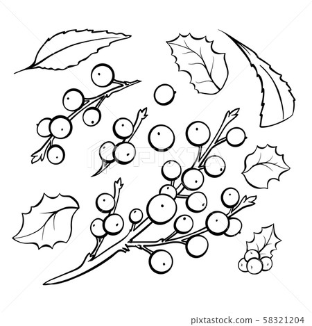 Mistletoe coloring book vector illustrations set 58321204