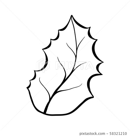 Christmas plant leaf coloring book illustration 58321210