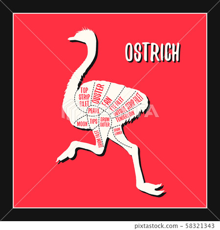 Ostrich meat cutting charts vector illustration Ostrich meat cutting charts vector illustration 58321343