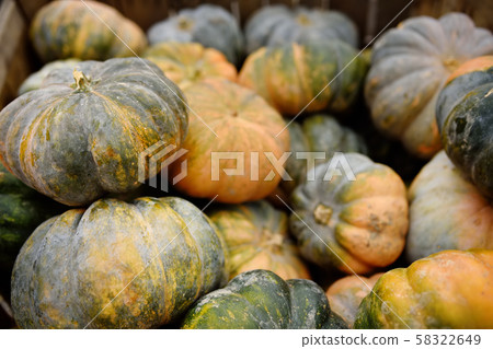 Various of fresh healthy bio pumpkins on farmer agricultural market at autumn. Various of fresh healthy bio pumpkins on farmer agricultural market at autumn. 58322649