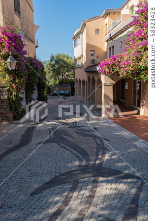 Quiet deserted narrow street in Porto Rotondo Sardenia with flowers and artistic pavement Quiet deserted narrow street in Porto Rotondo Sardenia with flowers and artistic pavement 58323428