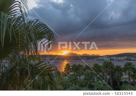 Panoramic sunset view against mountains and sky with thick clouds. Palm trees in the foreground 58323543