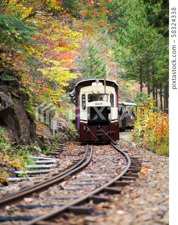赤澤自然休養林秋葉 58324338
