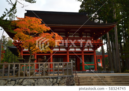 Autumn leaves of Mt. Koya 58324745