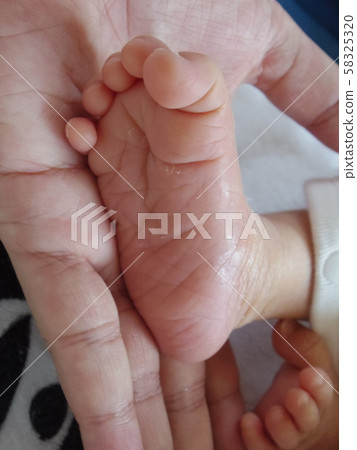 嬰兒腳 嬰兒腳 58325320