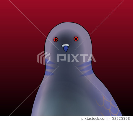 憤怒的表情鳥（健康的悲傷/紅色背景） 58325598
