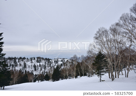 北ashi龍尾滑雪場（Skyland區） 58325700