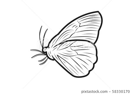 Butterfly line logo Designs Inspiration Isolated 58330170