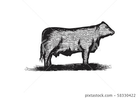 hand drawn beef, cattle logo Designs Inspiration hand drawn beef, cattle logo Designs Inspiration 58330422