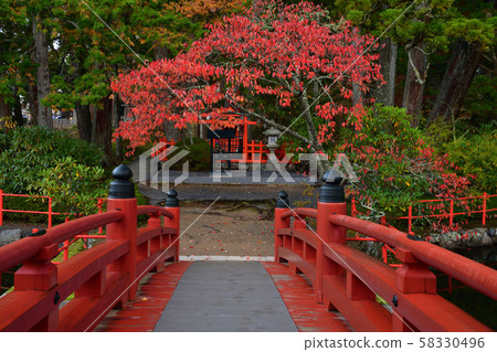 Autumn leaves of Mt. Koya Autumn leaves of Mt. Koya 58330496