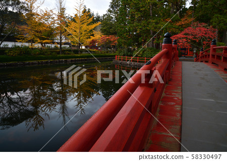 Autumn leaves of Mt. Koya Autumn leaves of Mt. Koya 58330497