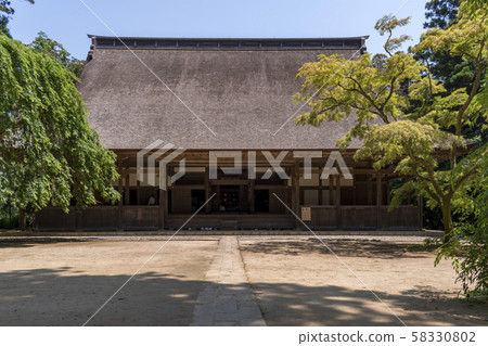 Cedar forest and vine forest auditorium ruins Cedar forest and vine forest auditorium ruins 58330802