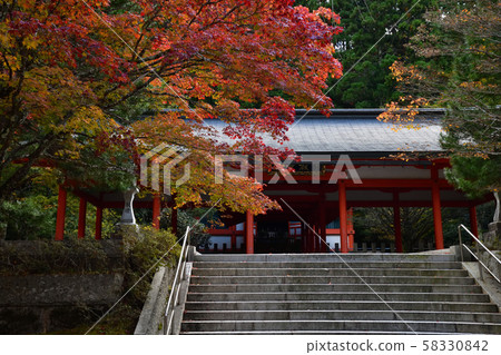 Autumn leaves of Mt. Koya 58330842