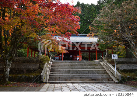 Autumn leaves of Mt. Koya 58330844