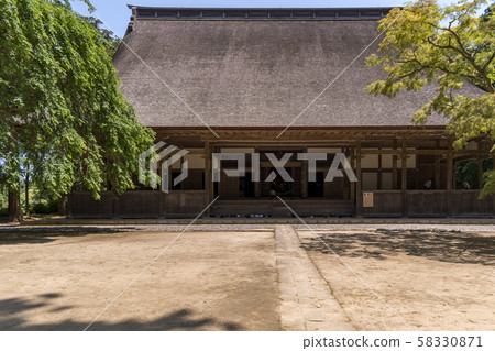 Cedar forest and vine forest auditorium ruins Cedar forest and vine forest auditorium ruins 58330871