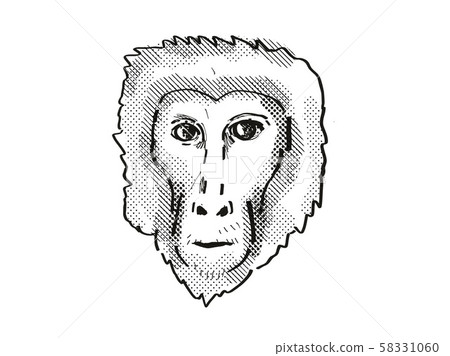 Assam Macaque Monkey Cartoon Retro Drawing 58331060