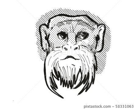 Emperor Tamarin Monkey Cartoon Retro Drawing Emperor Tamarin Monkey Cartoon Retro Drawing 58331063