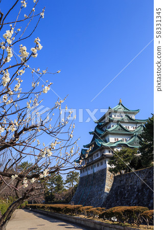 Plum and Nagoya Castle 58331345