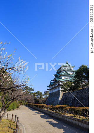 Plum and Nagoya Castle 58331352