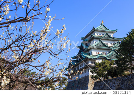 梅花和名古屋城堡 58331354