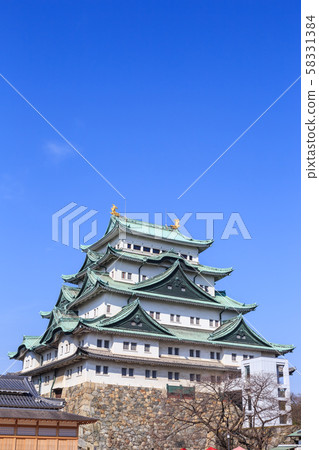 春天名古屋城堡 58331384