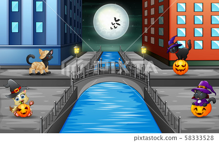 Cute cat in costume on the halloween town Cute cat in costume on the halloween town 58333528