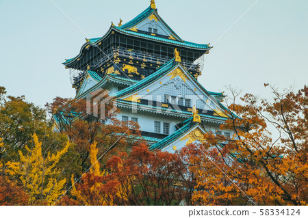 Osaka Castle in autumn season ,one of the most 58334124