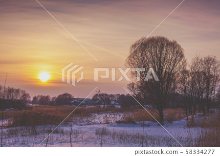 Winter landscape in the evening. Trees on the field at sunset light Winter landscape in the evening. Trees on the field at sunset light 58334277