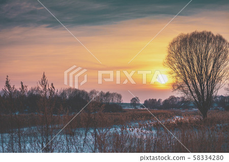 Winter landscape in the evening. Trees on the field at sunset light 58334280