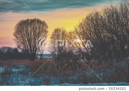 Winter landscape in the evening. Trees on the field at sunset light Winter landscape in the evening. Trees on the field at sunset light 58334282