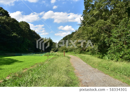茅崎里山公園（初秋） 58334301
