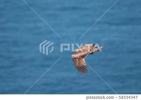 Tobi flying over the Naruto Strait Tobi flying over the Naruto Strait 58334347