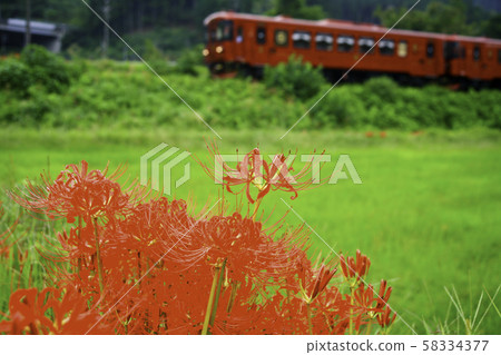 Nagara River Railway Amphibian 58334377