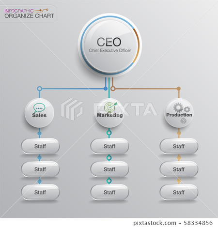 organize chart infographic. Business structure. Vector design. 58334856