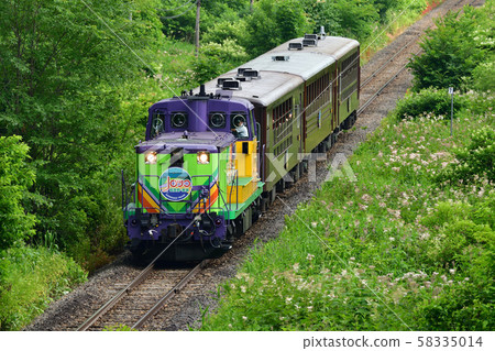 富良野·美瑛Norocco 58335014