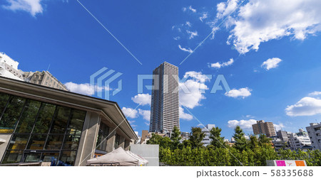 南池袋公園和池袋高層建築風光 南池袋公園和池袋高層建築風光 58335688