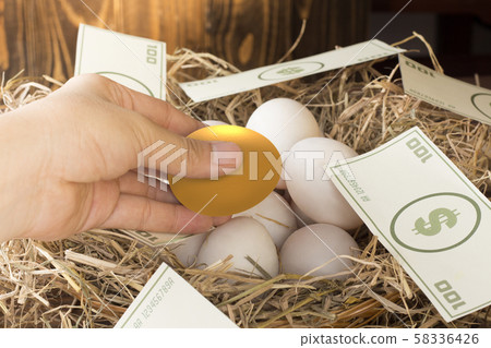egg, eggs, easter 58336426