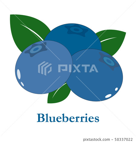 blueberries 58337022