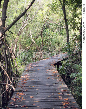 Wood bridge Wood bridge 58338691