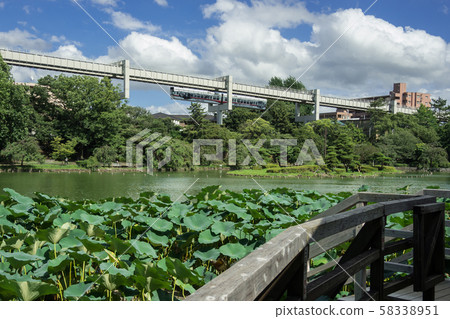 千葉公園夏天 千葉公園夏天 58338951