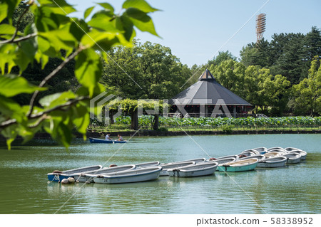千葉公園夏天 千葉公園夏天 58338952