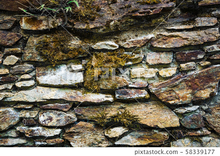 Stone wall with green moss background. 58339177
