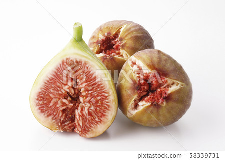 石無花果 58339731