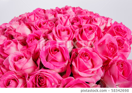 Summer blossoming delicate roses on blooming flowers festive background, pastel and soft bouquet Summer blossoming delicate roses on blooming flowers festive background, pastel and soft bouquet 58342698