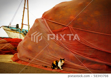 Fishing port cat Fishing port cat 58343708