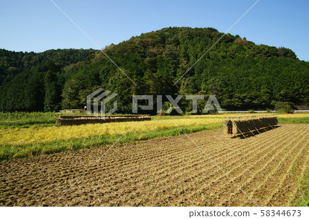 伊東市池塘村景觀 58344673
