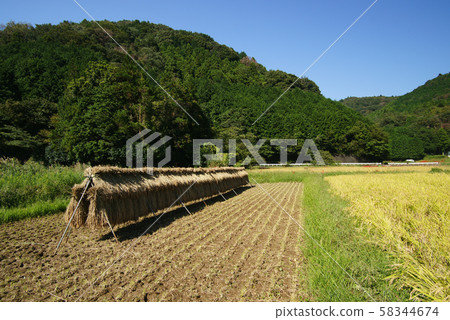 伊東市池塘村景觀 58344674